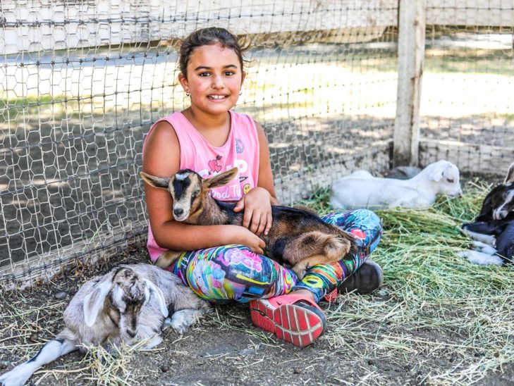 A camper sitting with baby goats.
