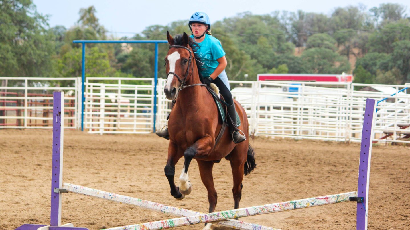 A camper teaching a horse how to jump